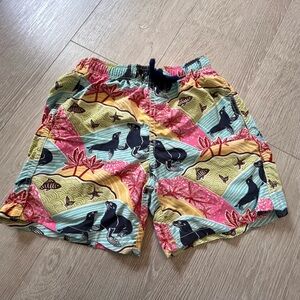 Boys Vilebrequin swim trunks size 12